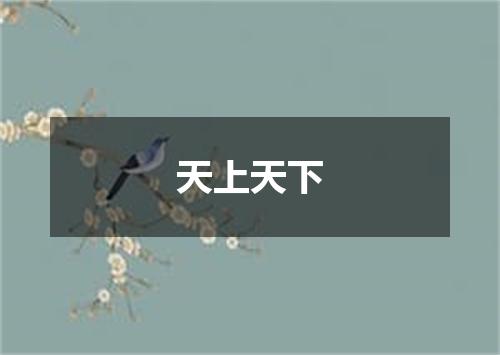 天上天下