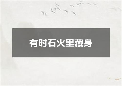 有时石火里藏身