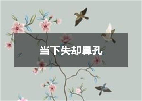 当下失却鼻孔