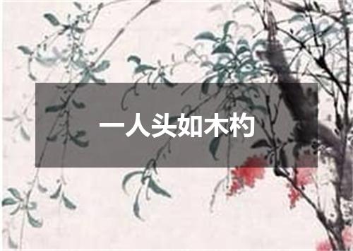 一人头如木杓