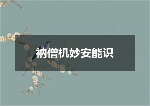 衲僧机妙安能识