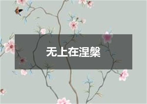 无上在涅槃