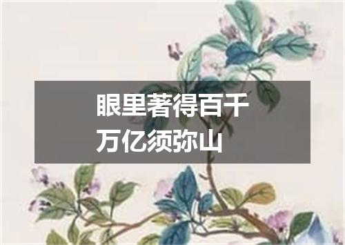 眼里著得百千万亿须弥山