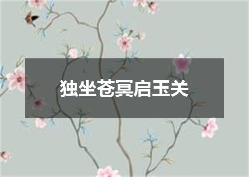 独坐苍冥启玉关