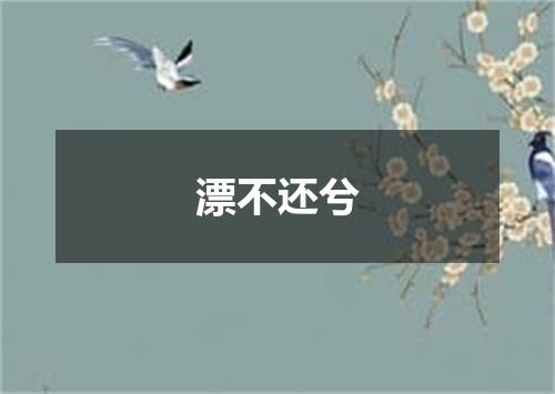 漂不还兮