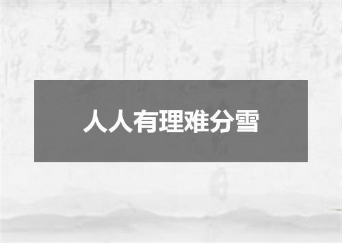 人人有理难分雪