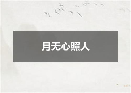 月无心照人