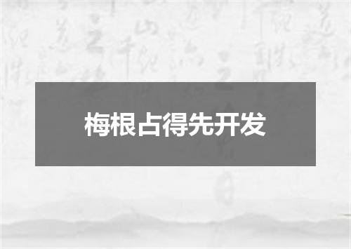 梅根占得先开发