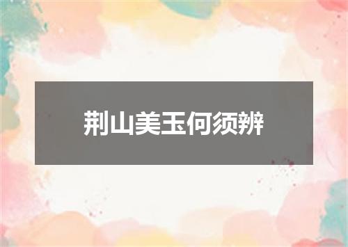 荆山美玉何须辨
