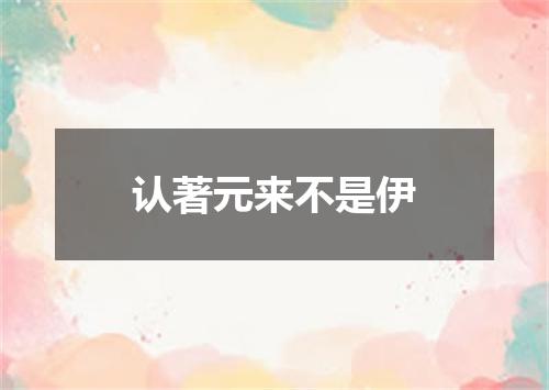 认著元来不是伊