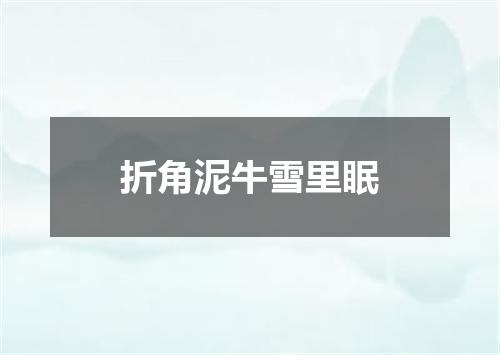 折角泥牛雪里眠