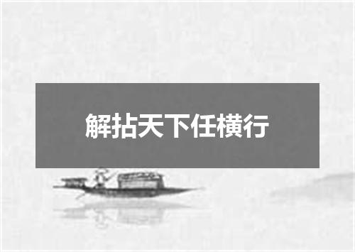 解拈天下任横行
