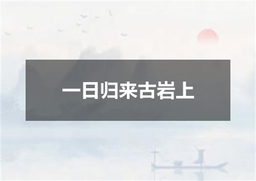 一日归来古岩上