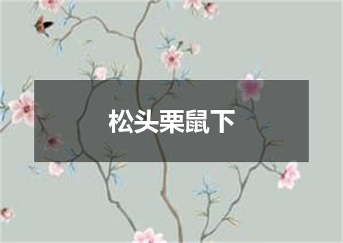 松头栗鼠下
