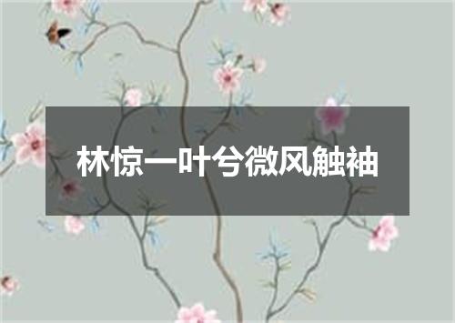 林惊一叶兮微风触袖