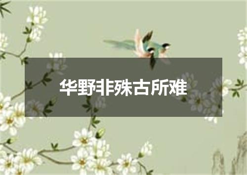 华野非殊古所难