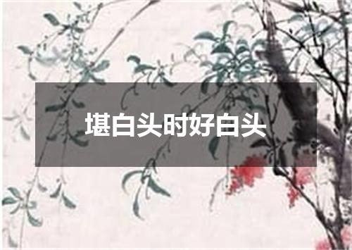 堪白头时好白头