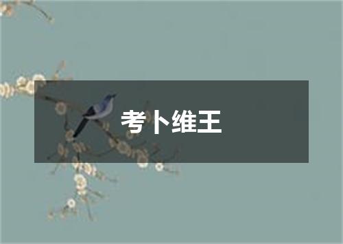 考卜维王