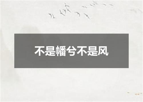 不是幡兮不是风