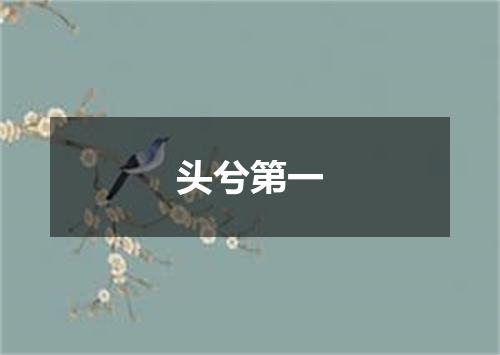 头兮第一