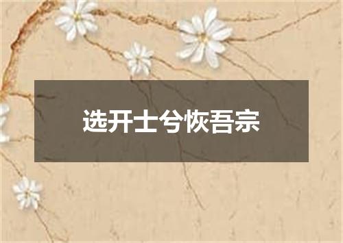 选开士兮恢吾宗