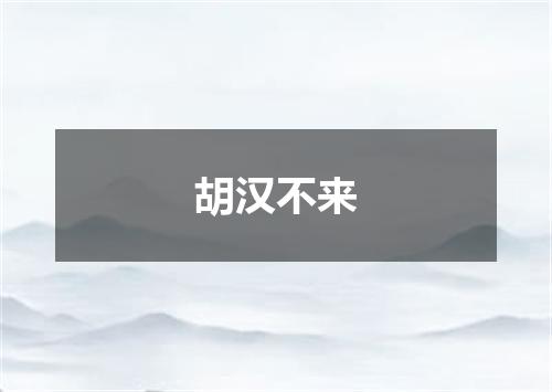 胡汉不来