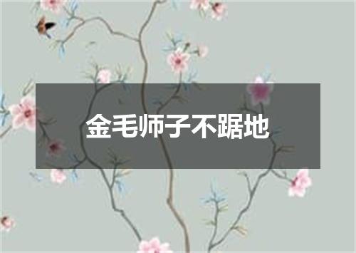 金毛师子不踞地