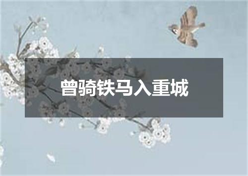 曾骑铁马入重城