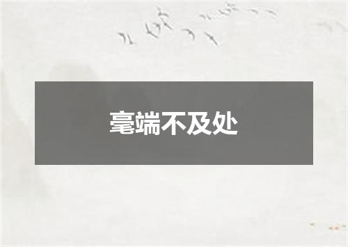 毫端不及处