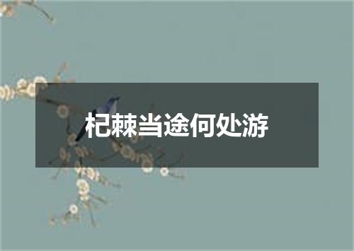 杞棘当途何处游