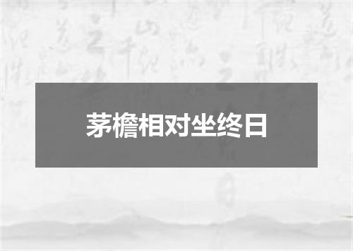 茅檐相对坐终日