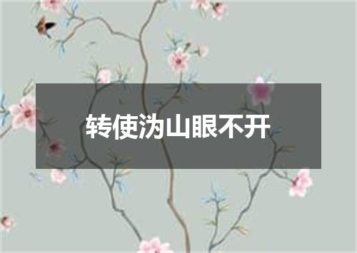 转使沩山眼不开