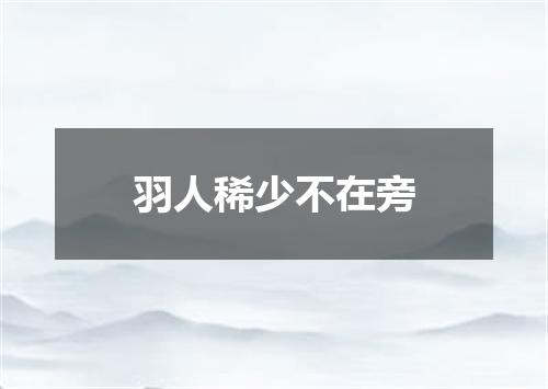 羽人稀少不在旁