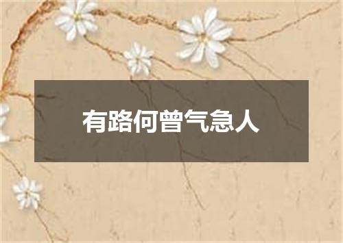 有路何曾气急人