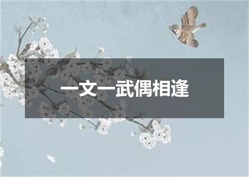 一文一武偶相逢