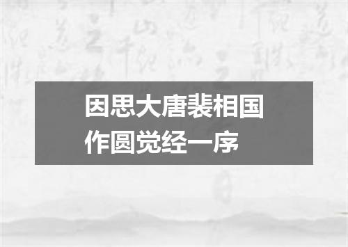 因思大唐裴相国作圆觉经一序