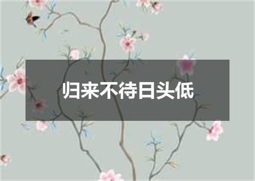 归来不待日头低