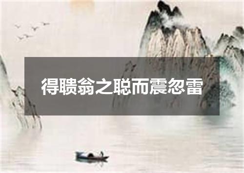得聩翁之聪而震忽雷
