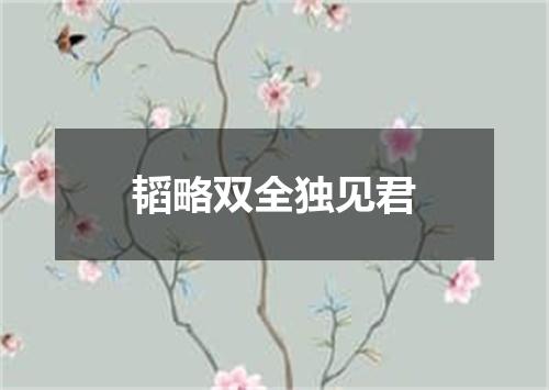韬略双全独见君