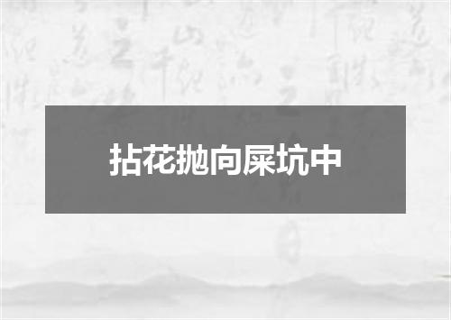 拈花抛向屎坑中