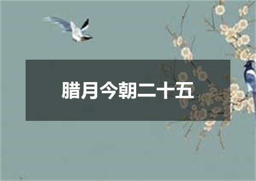 腊月今朝二十五
