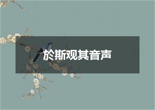 於斯观其音声