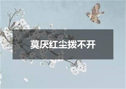 莫厌红尘拨不开