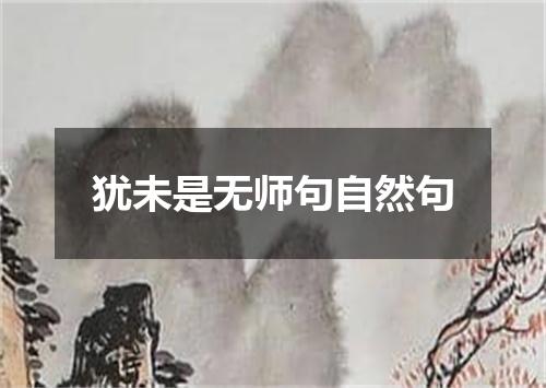 犹未是无师句自然句