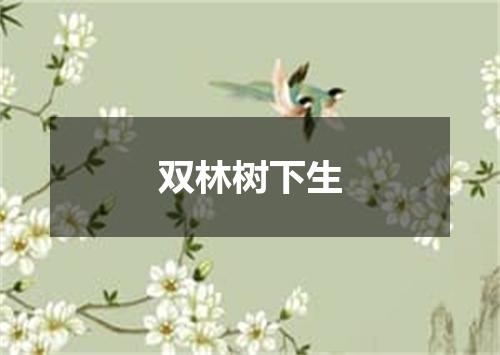 双林树下生