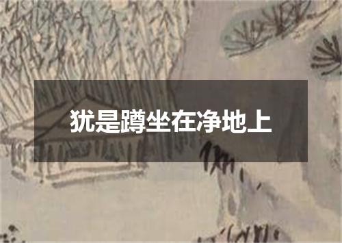 犹是蹲坐在净地上