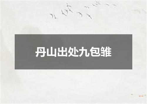 丹山出处九包雏