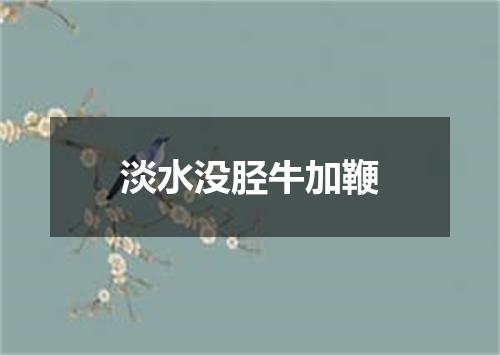 淡水没胫牛加鞭