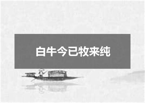 白牛今已牧来纯