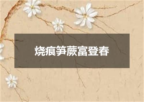 烧痕笋蕨富登春